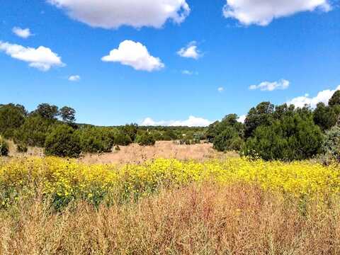 Jesse James, EDGEWOOD, NM 87015