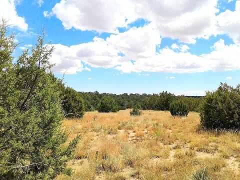Jesse James, EDGEWOOD, NM 87015