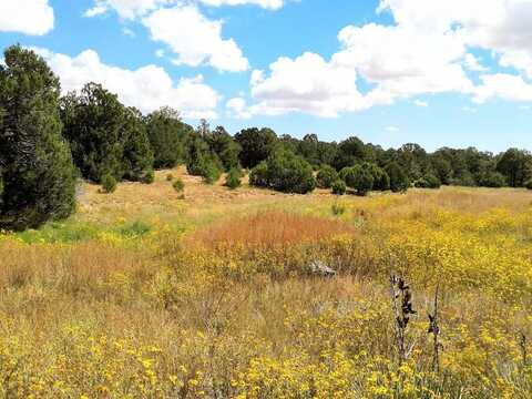 Jesse James, EDGEWOOD, NM 87015