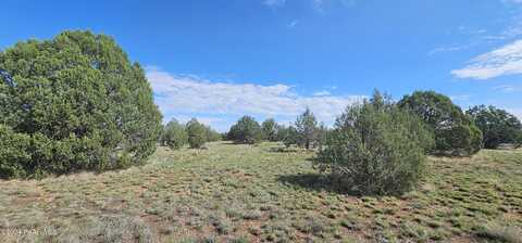 Isabella, WILLIAMS, AZ 86046