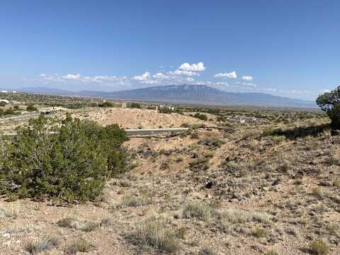 Desert Marigold, RIO RANCHO, NM 87144