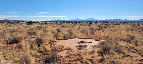 Page, WILLIAMS, AZ 86046