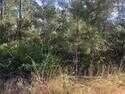 Childs Rd, Other City In The State Of Florida, FL 32148