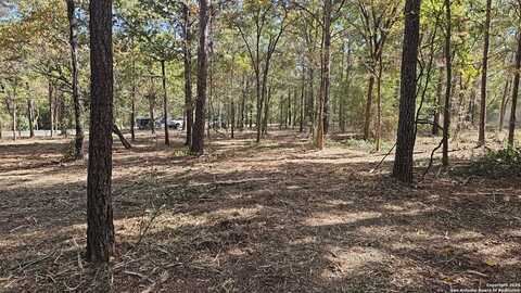 Bracewell Dr, Huntsville, TX 77320