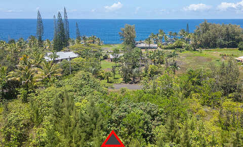 Ave, Keaau, HI 96749