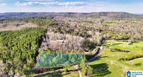 County Road 504, Hanceville, AL 35077
