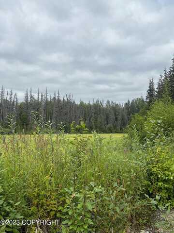 S Parks Hwy, Willow, AK 99688