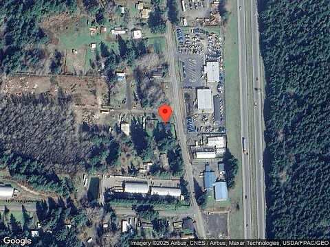Golden Pheasant, SHELTON, WA 98584