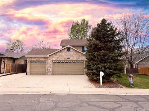 Dexter, THORNTON, CO 80241