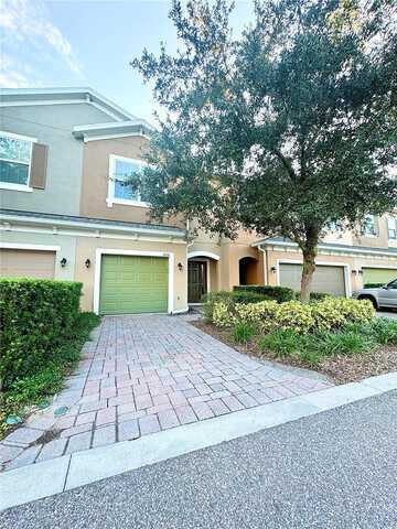 Lemon Drop, APOPKA, FL 32712