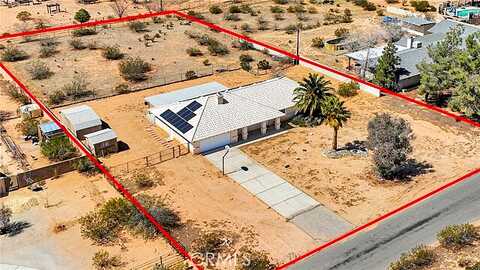 Century Plant, APPLE VALLEY, CA 92307