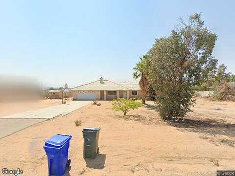 Century Plant, APPLE VALLEY, CA 92307