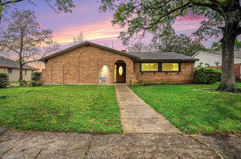 Diana, HOUSTON, TX 77062