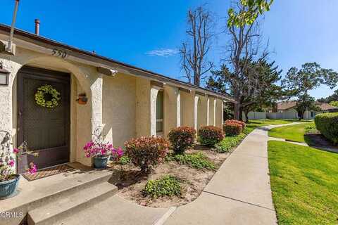 Holly, OXNARD, CA 93036