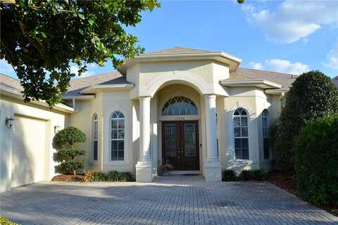 Thoroughbred, DADE CITY, FL 33525