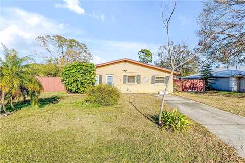 Queen Palm, EDGEWATER, FL 32141