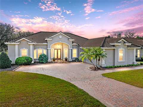 Thoroughbred, DADE CITY, FL 33525