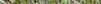 Buckleridge, HOUSTON, TX 77053