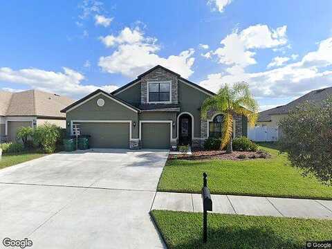 Wild Elm, WESLEY CHAPEL, FL 33545