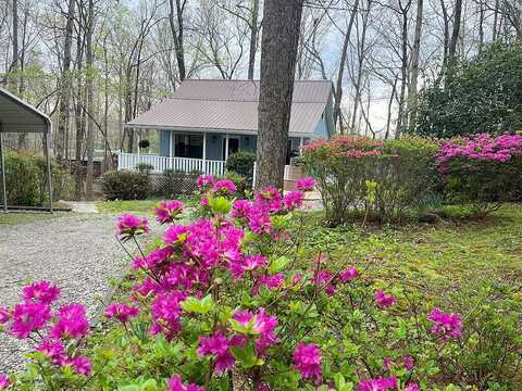 Honeysuckle, BLAIRSVILLE, GA 30512
