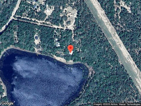 Gator, MELROSE, FL 32666