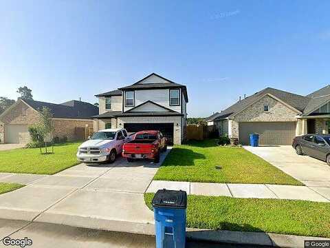Ocelot, MAGNOLIA, TX 77354