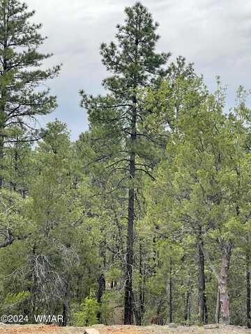 Cimatario, LAKESIDE, AZ 85929