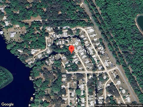 Camellia, SATSUMA, FL 32189