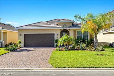 Rosemallow, ALVA, FL 33920
