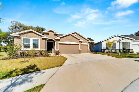 Wineberry, DADE CITY, FL 33525