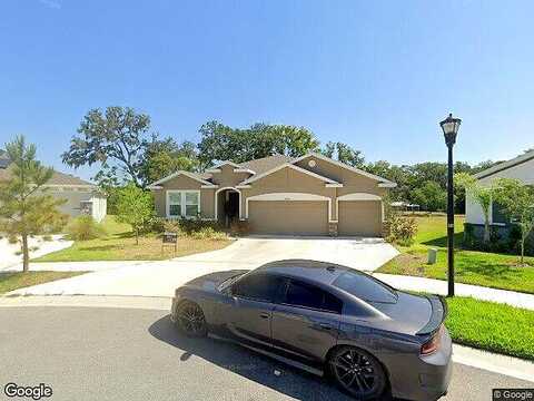 Wineberry, DADE CITY, FL 33525
