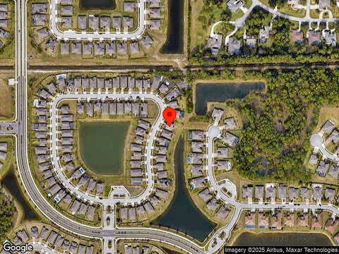 Fiddleleaf, MELBOURNE, FL 32904