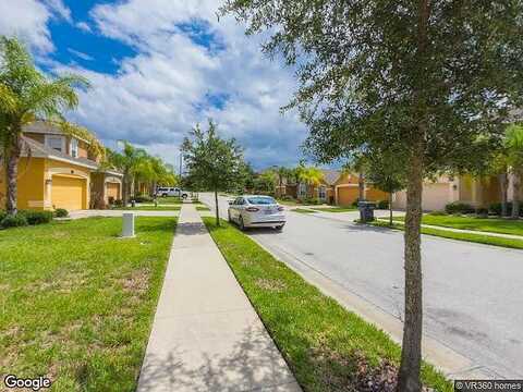 Orange Cosmos, DAVENPORT, FL 33837