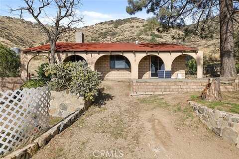 Shannon Valley, ACTON, CA 93510