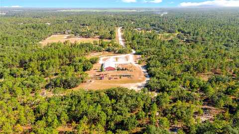 123Rd, MORRISTON, FL 32668