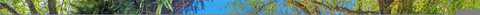 Kerwood Oaks, CORAL GABLES, FL 33156