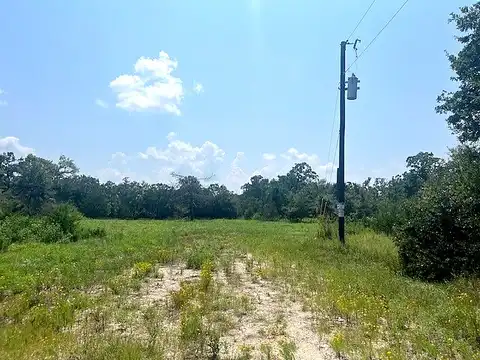 Harrison, BEDIAS, TX 77831