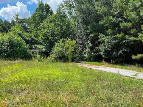 Brown Bridge, COVINGTON, GA 30016