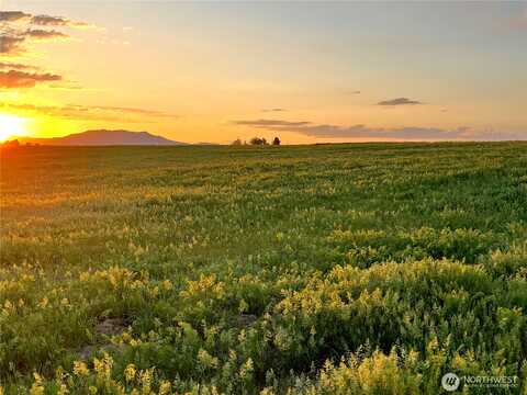 Bohart, WENATCHEE, WA 98801