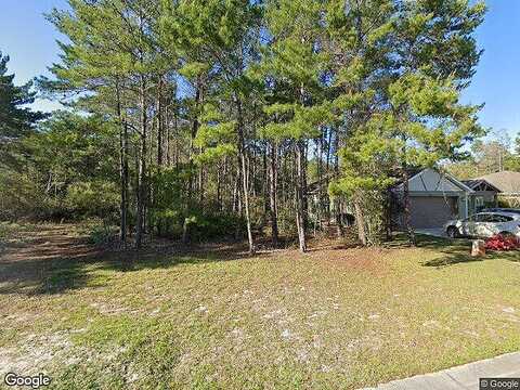 Leap Year Lane, Freeport, FL 32439