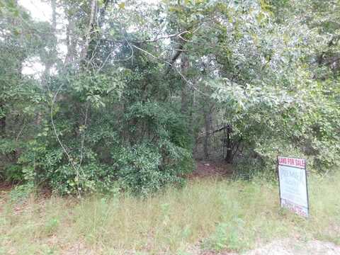 00 Bass Rd, Reidsville, GA 30453
