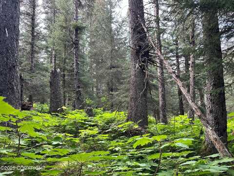 L11 B11 Nutbeem Road, Seldovia, AK 99663