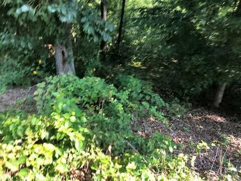 Lot 16 Bingley LN, Bella Vista, AR 72714