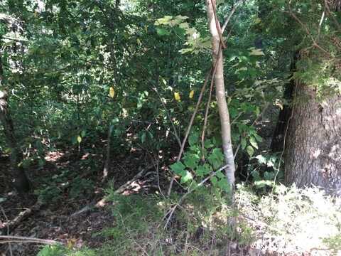 Lot 9 Cawood DR, Bella Vista, AR 72714