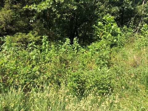 Lot 19 Lockhart LN, Bella Vista, AR 72715