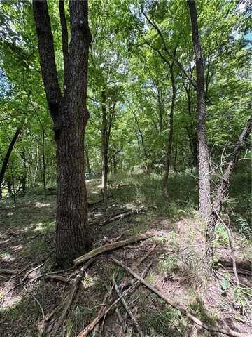 TBD2 Gum Springs RD, Parthenon, AR 72666