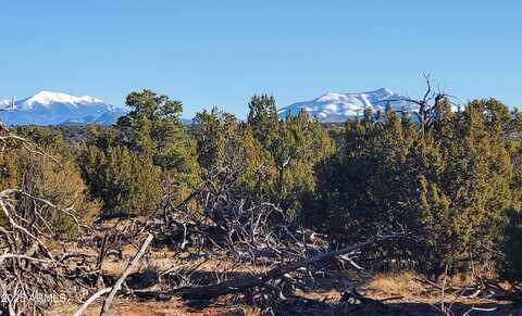 2589 N LIPAN Road, Williams, AZ 86046