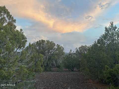 Lot 11 Uphill Trail --, Vernon, AZ 85940