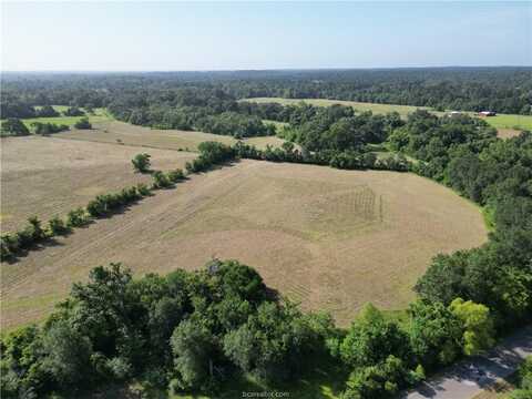44.33 Acres County Road 202, Plantersville, TX 77363