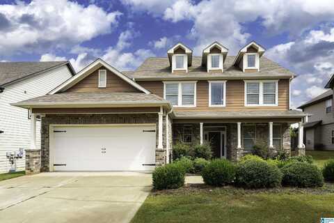 444 BLACKBERRY BOULEVARD, SPRINGVILLE, AL 35146